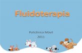 Fluidoterapia poli