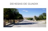 Municipio de Dehesas de Guadix. 2009. Calles I