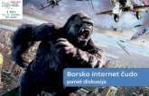Borsko internet čudo
