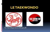 Le taekwondo , par Iñaki Allegue