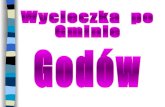 Gmina GodóW
