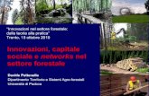 Davide Pettenella - Innovazioni, capitale sociale e networks nel settore forestale