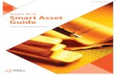 Smart assetguide 2010 July