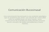 Comunicación bucosinusal
