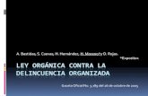 Ley contra la delincuencia organizada de Venezuela.
