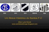 Um Breve HistóRico Do Santos F