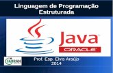 Linguagem de Programação Estruturada com Java-Aula2
