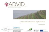 "A vinha, o vinho e o turismo na Região do Douro" - Cluster dos Vinhos da Região do Douro (ADVID), Eng.ª Rosa Amador (Diretora Geral)