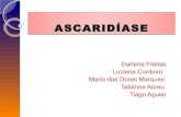 AscaridíAse1 Tati