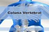 Coluna vertebral cinesiologia
