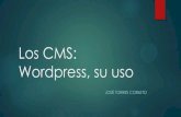 Los cms wordpress (1)