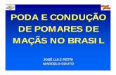 PODA E CONDUÇÃO DE POMARES DE MAÇÃS NO BRASIL