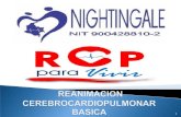 Nightingale rccp basico bls adulto pediatrico