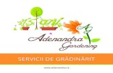 Firma de gradinarit Adenandra Gardening