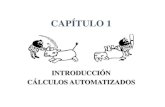 Introduccion Cálculos Automatizados