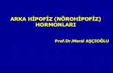 Arka hipofiz hormonlari(fazlası için  )