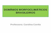 Domínios morfoclimáticos brasileiros