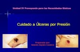 Ulceras Por Presion Sandra