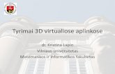 WUD 2010 Dr. K.Lapin - Tyrimai 3D virtualiose aplinkose