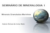 Minerais Granulados Marinhos