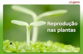 Reprodução plantas