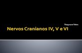 Nervos cranianos IV, V e VI pares