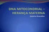 Dna mitocondrial – herança materna