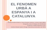 Tema 12 . El fenomen urbà a Espanya i Catalunya (lèxic). GEOGRAFIA. 2n BATXILLERAT