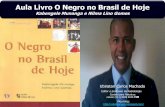 Aula Livro o Negro no Brasil de Hoje: Kabengele Munanga