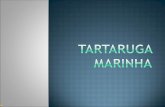 Tartarugas Marinhas   CóPia