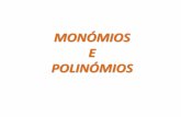 Polinómios e monómios