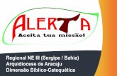 Alerta - Iniciação à Vida Cristã com adolescentes e jovens nordeste 3 - Aracaju
