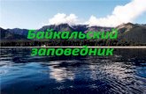 [Youdz.ru] байкальский заповедник