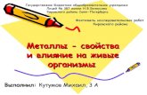 кутумов м.и. 3 а - металлы- фестиваль