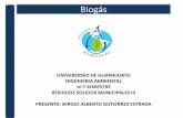 Calculo De BiogáS
