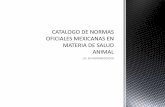 Catalogo de normas oficiales mexicanas en  materia de