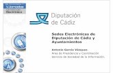 2011 - Sedes Electrónicas de Diputación de Cádiz y Ayuntamientos