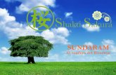 Sundaram El Sendero del Bienestar