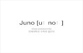 Project Juno: Draw passwords!