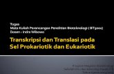 Perbedaan proses transkripsi&translasi pada sel prokariot dan eukariot