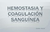 Fisiologia Hemostasia y coagulación sanguínea
