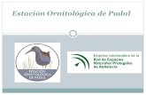 Presentación de la Estación Ornitológica de Padul para el curso