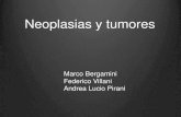Neoplasia y Cancer - Bergamini Marco, Federico Villani, Andrea Lucio Pirani