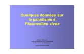 Paludisme à Plasmodium. vivax