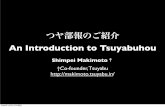 An Introduction To Tsuyabuhou