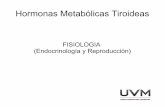 HORMONAS METABOLICAS TIROIDEAS