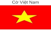 Mầm non Saigon academy - Cờ, trang phục và món ăn truyền thống của các nước