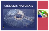 Ciências naturais 7   dinâmica interna da terra