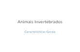 Animais invertebrados- Poríferos