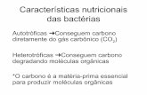 Biologia: Nutrição das bactérias